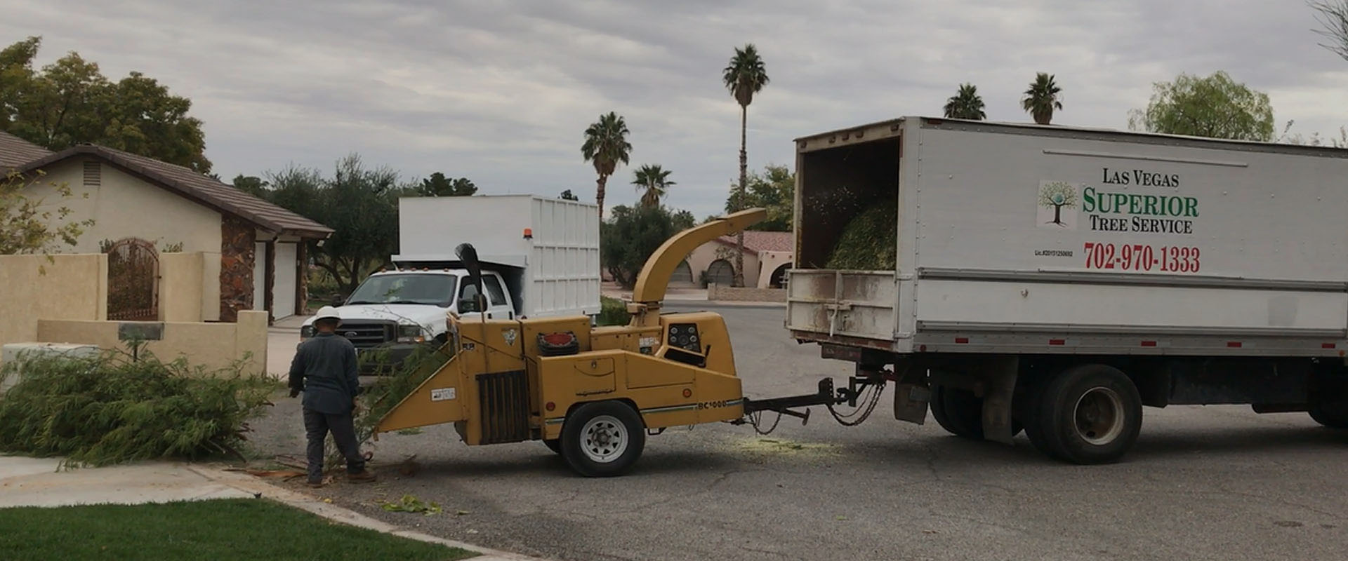 Las vegas Superior Tree Service Call us at 7029701333